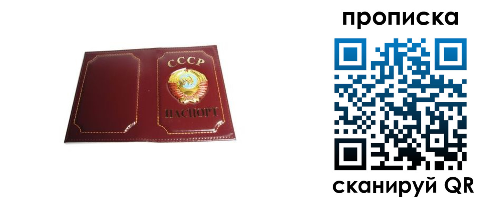 прописка гарантия в Светлом